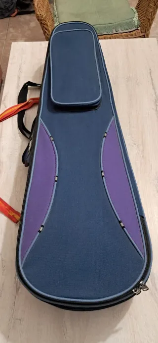 Violín Stentor 4/4 Mejorado con Funda y Arco