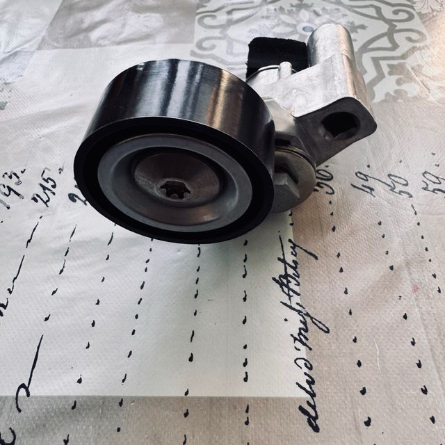 Tensor correa servicio Peugeot 206