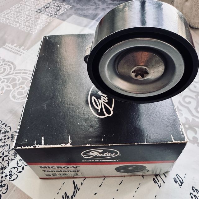 Tensor correa servicio Peugeot 206