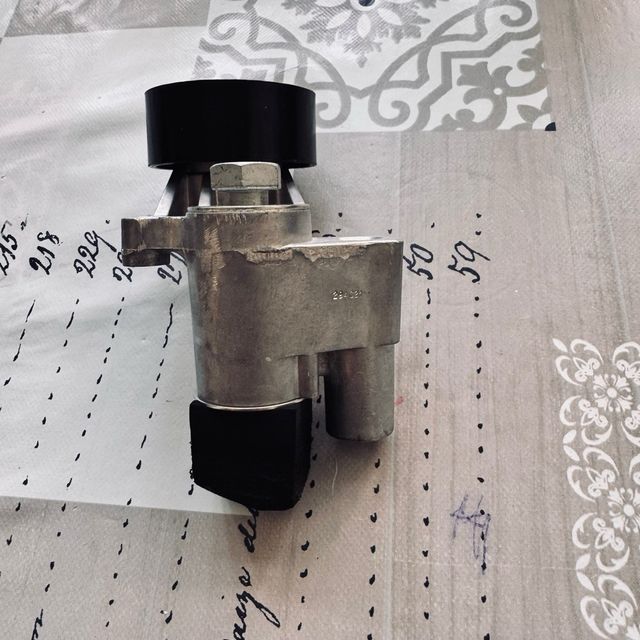 Tensor correa servicio Peugeot 206