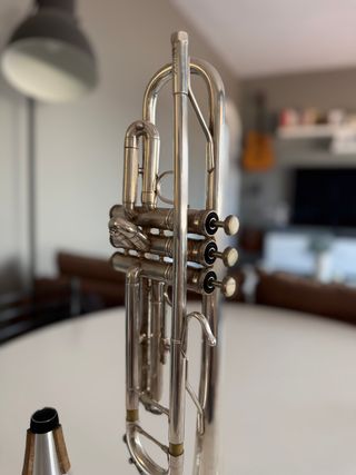 Trompeta Vincent Bach TR 305 Sib + Sordina + Caja