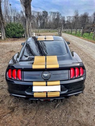 Ford Mustang 2019