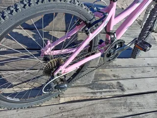 Bicicleta Niña Rosa