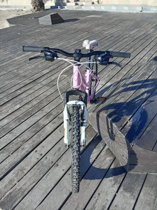 Bicicleta Niña Rosa
