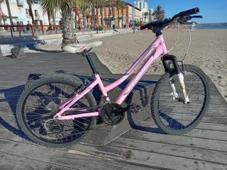 Bicicleta Niña Rosa