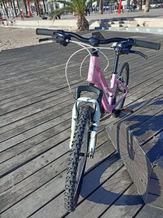 Bicicleta Niña Rosa