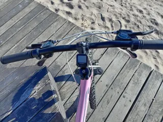 Bicicleta Niña Rosa