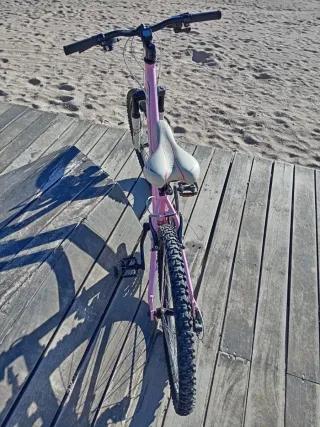 Bicicleta Niña Rosa
