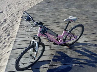 Bicicleta Niña Rosa
