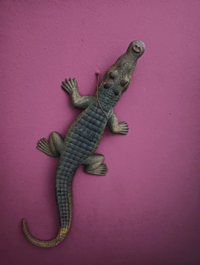 Cocodrilo de pared decorativo
