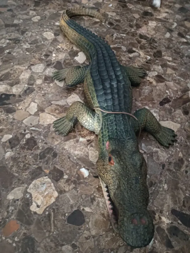 Cocodrilo de pared decorativo