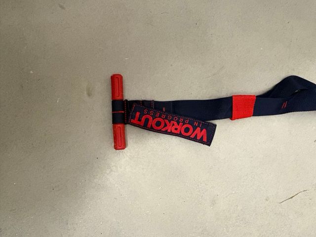 TRX Entrenamiento en Suspensión