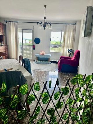 Residencia para gatos- cuidador de gatos