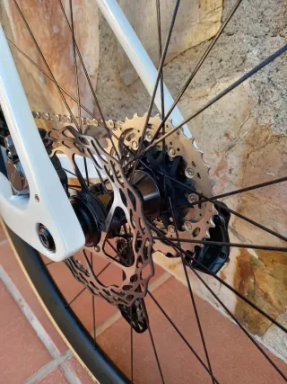 Bici eléctrica Trek Domane+ Carbon.