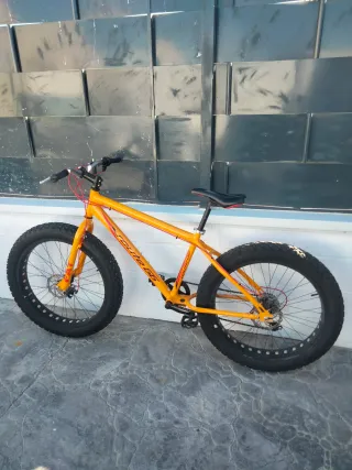 Fat Bike