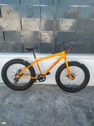 Fat Bike