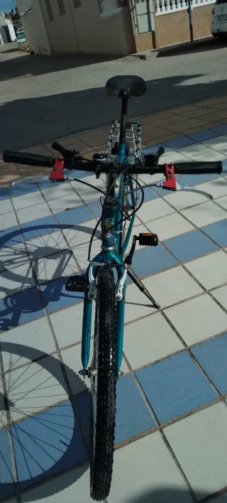 Bicicleta Urbana
