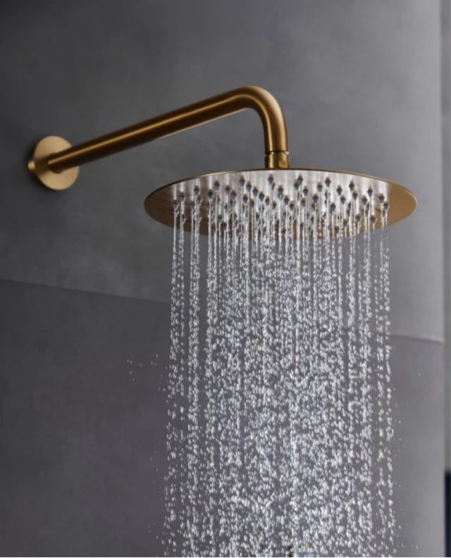 Rociador Ducha extraplano Metal y brazo de ducha