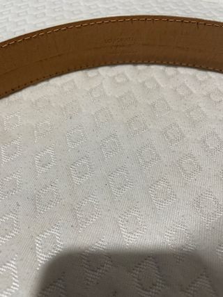 Cintura Louis Vuitton Olografa con Fibbia Dorata