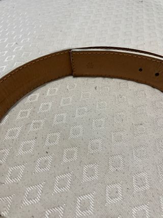 Cintura Louis Vuitton Olografa con Fibbia Dorata