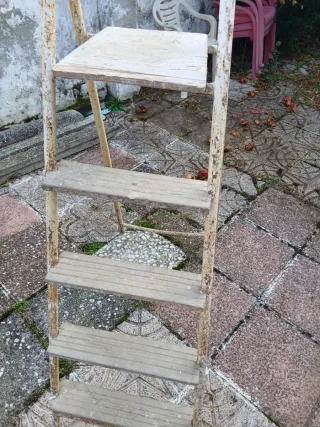 Escalera de mano metálica