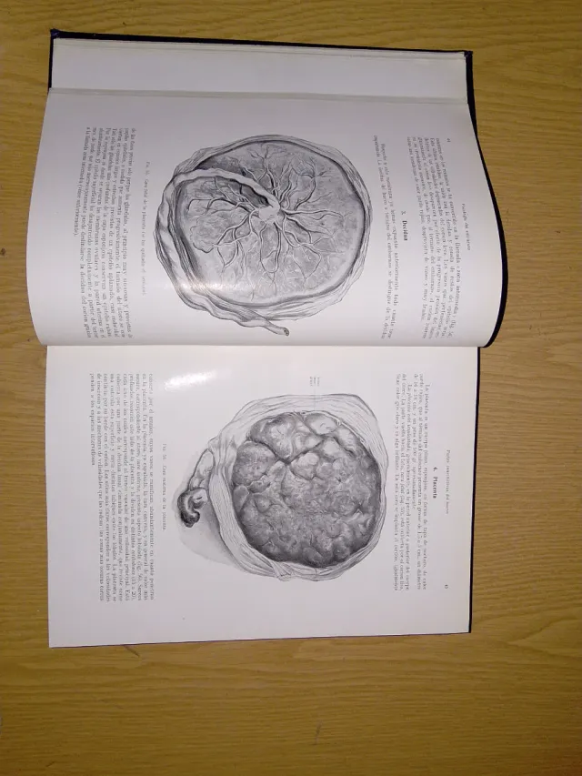 Tratado de Obstetricia