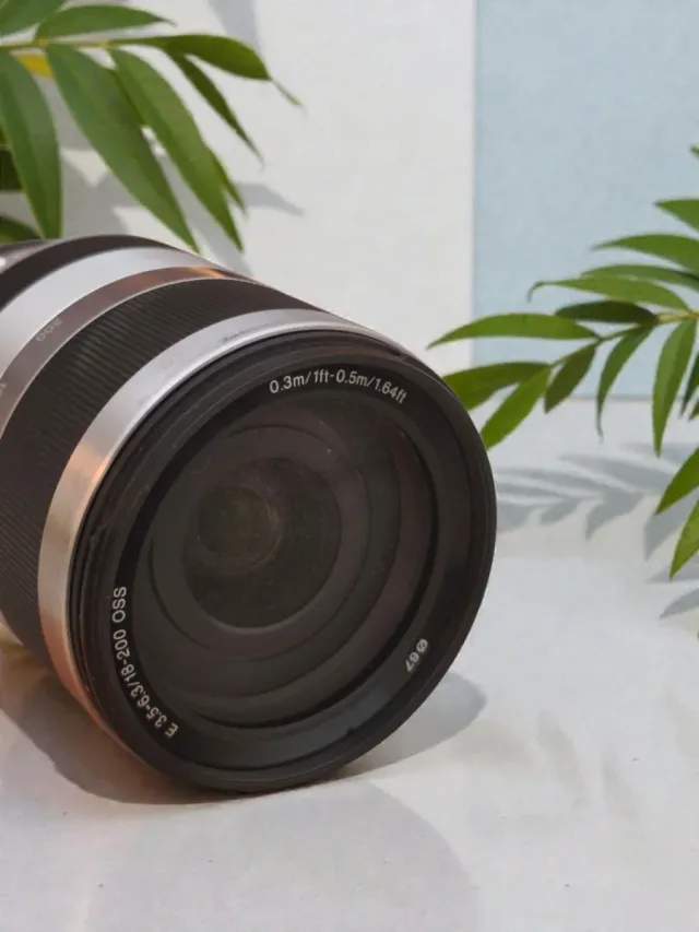 Sony E 18-200mm F3.5-6.3 SEL18200