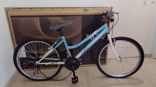 Bicicleta de 14 pulgadas