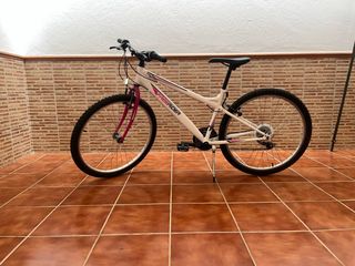 Bicicleta 26 Freerider  precio negociable