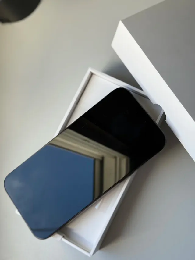 iPhone 16 Pro Max 256GB 100%