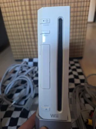 Lote Nintendo Wii Completa (Accesorios)