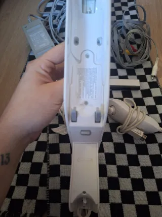 Lote Nintendo Wii Completa (Accesorios)