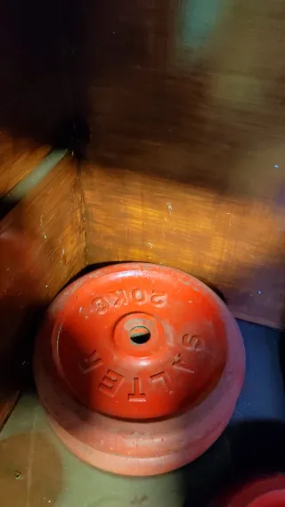 2 Discos Pesas Salter 20kg