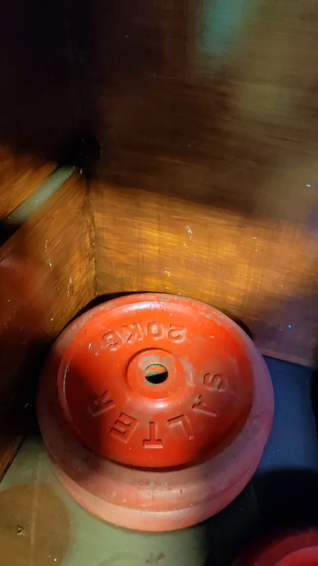 2 Discos Pesas Salter 20kg