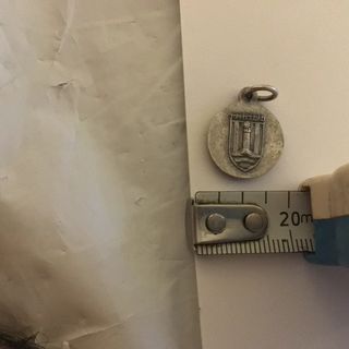 Medalla de la Virgen de Torreciudad, Nueva Reiieve