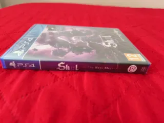 Skul The Hero Slayer PS4