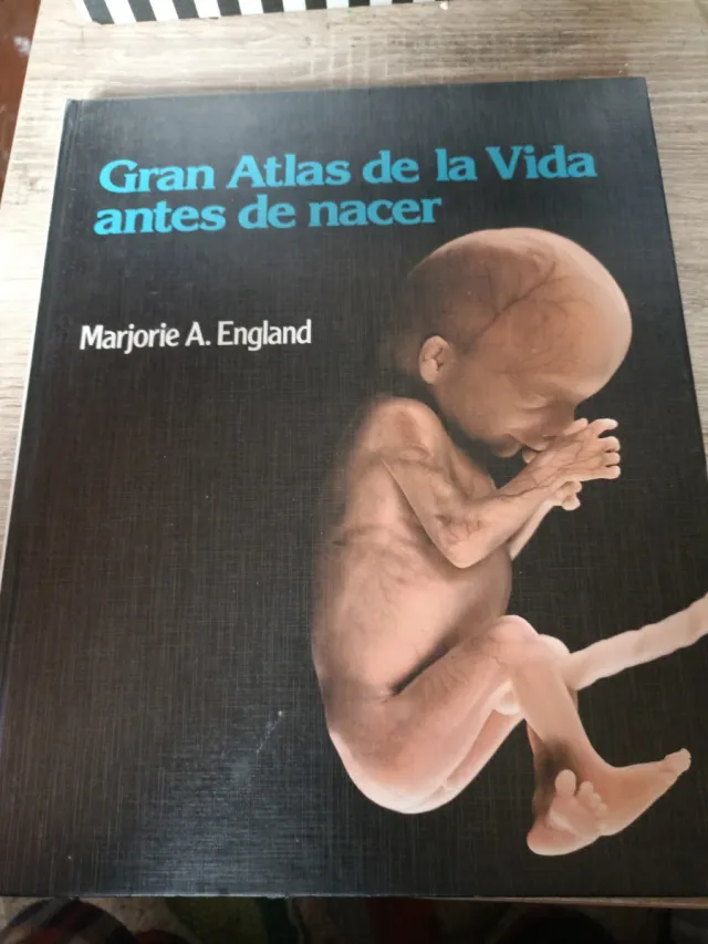 Atlas en Couleurs de la Vie Avant la Naissance ...