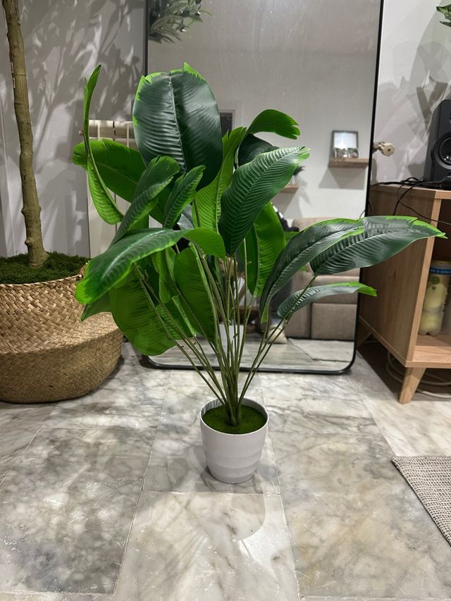 Planta Monstera Artificial con Maceta