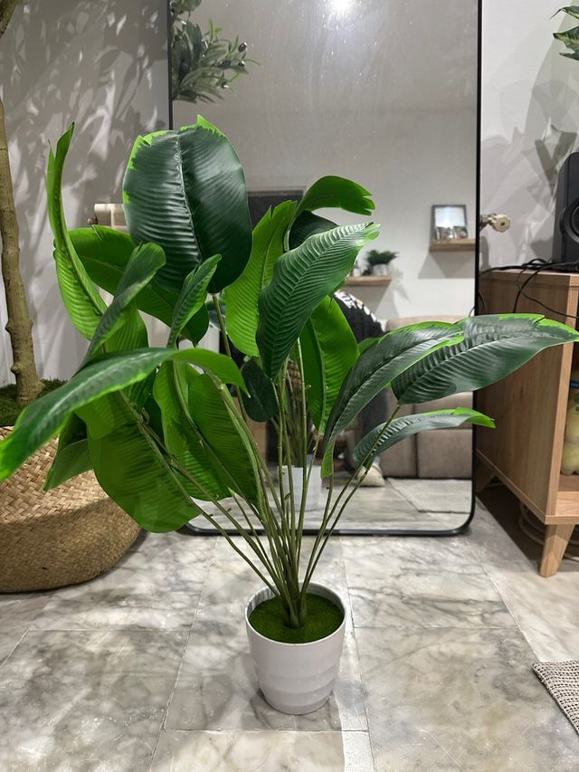 Planta Monstera Artificial con Maceta