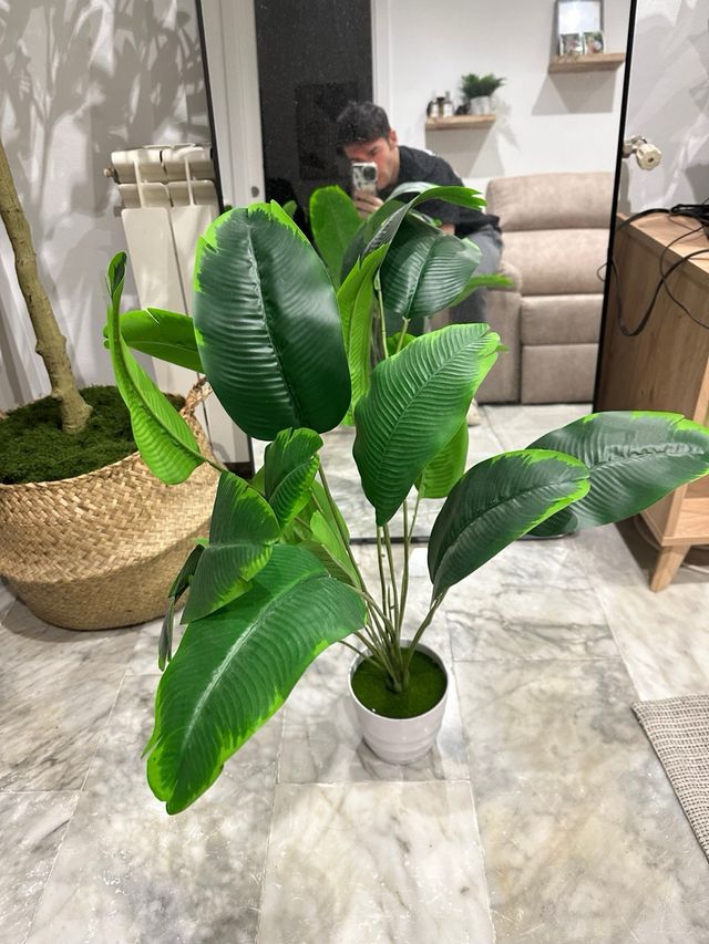 Planta Monstera Artificial con Maceta