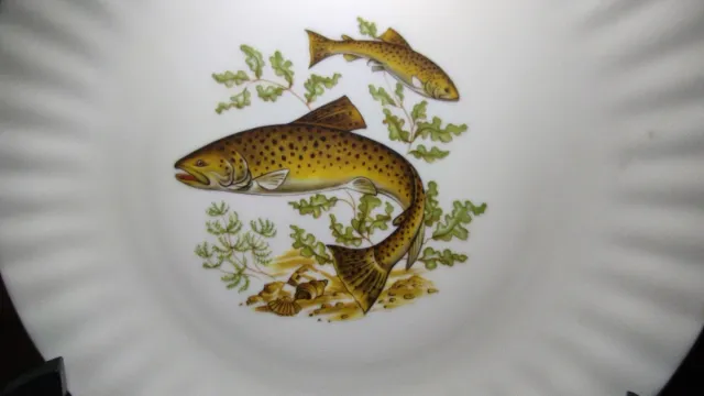 PiaTTO di ceramica Wunsiedel. Anni '60.