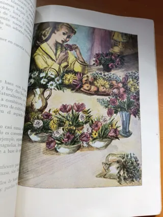 Economía doméstica  Educación Física femenina.