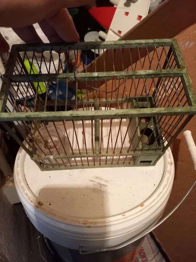 Gabbia per uccelli verde