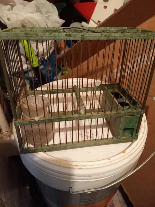 Gabbia per uccelli verde