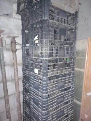 Cajas de plástico para hortalizas