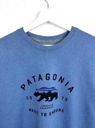 Sudadera Patagonia Gráfica Oversize Retro Azul Y2K
