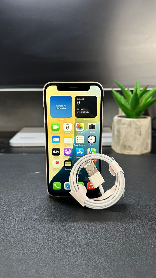 iPhone 12 mini 100 Batería