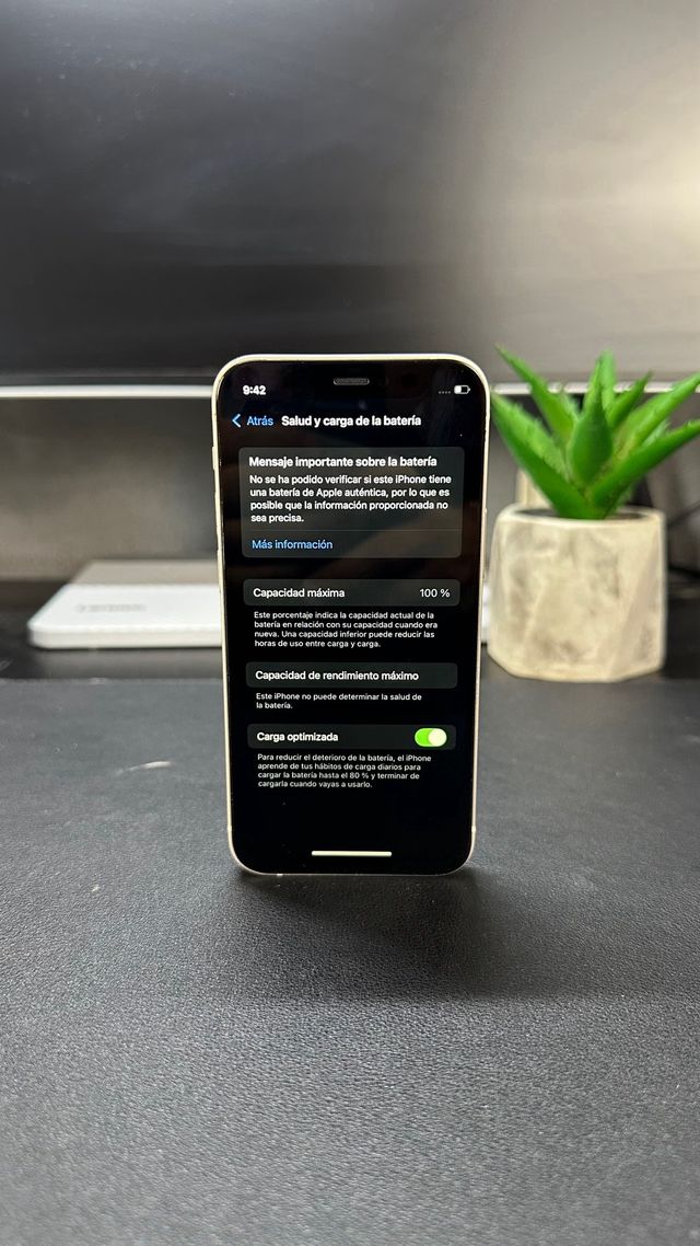 iPhone 12 mini 100 Batería