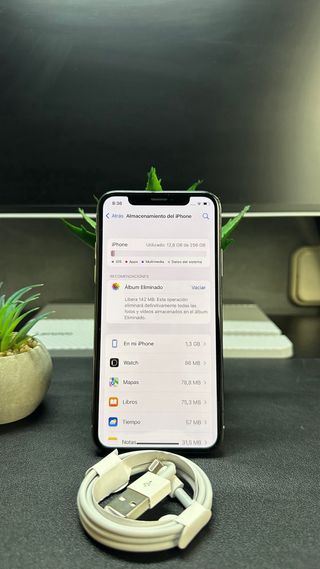 iPhone X 95% Batteria