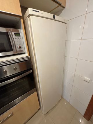 Nevera Liebherr